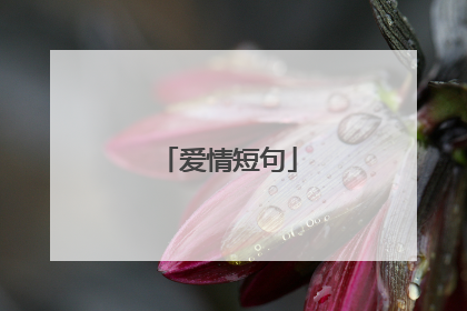 爱情短句