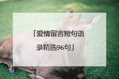爱情留言短句语录精选96句