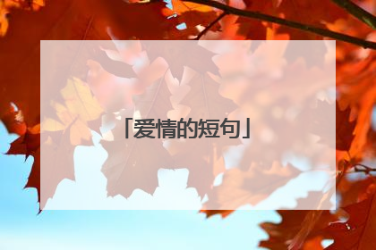 爱情的短句