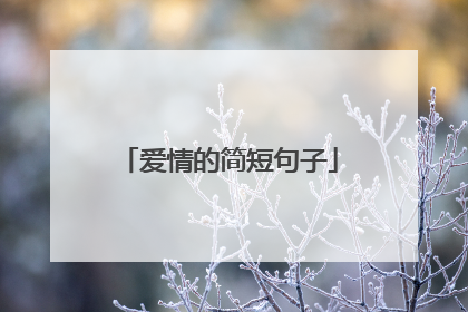 爱情的简短句子
