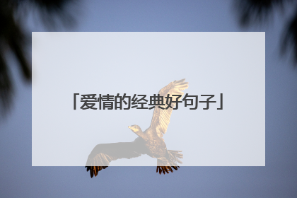 爱情的经典好句子