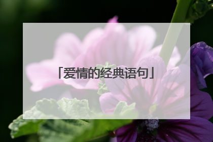 爱情的经典语句