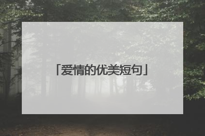 爱情的优美短句