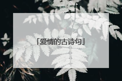 爱情的古诗句