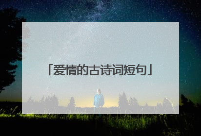 爱情的古诗词短句