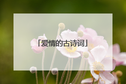 爱情的古诗词