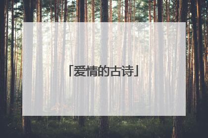 爱情的古诗