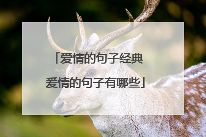 爱情的句子经典 爱情的句子有哪些