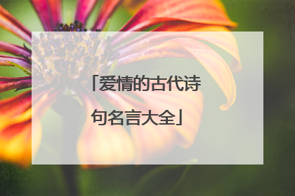 爱情的古代诗句名言大全