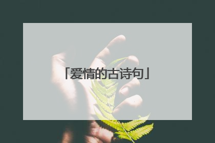 爱情的古诗句