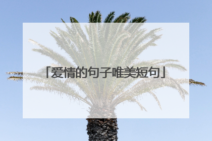 爱情的句子唯美短句