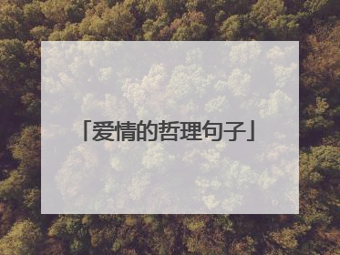 爱情的哲理句子