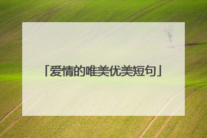 爱情的唯美优美短句