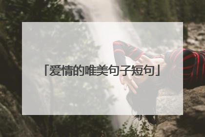 爱情的唯美句子短句