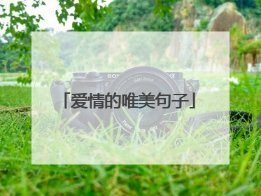 爱情的唯美句子