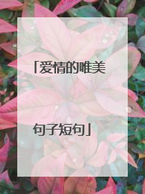 爱情的唯美句子短句