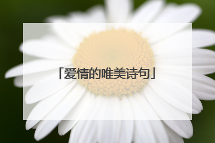 爱情的唯美诗句