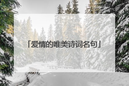 爱情的唯美诗词名句