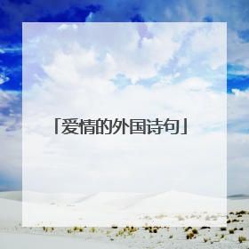 爱情的外国诗句