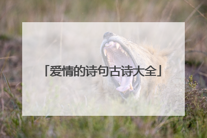 爱情的诗句古诗大全