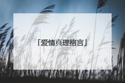 爱情真理格言