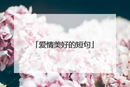 爱情美好的短句