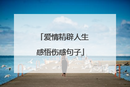 爱情精辟人生感悟伤感句子