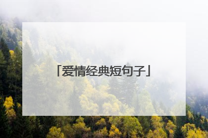 爱情经典短句子