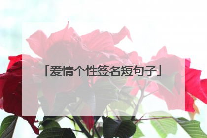 爱情个性签名短句子