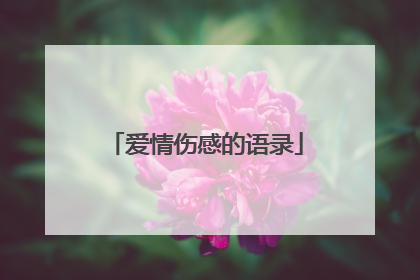 爱情伤感的语录