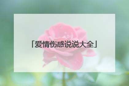 爱情伤感说说大全
