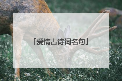 爱情古诗词名句