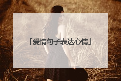 爱情句子表达心情