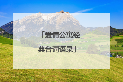 爱情公寓经典台词语录