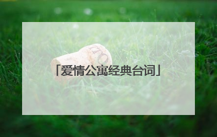 爱情公寓经典台词