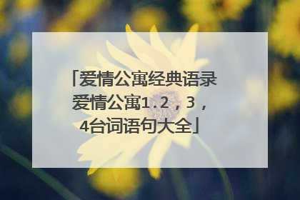 爱情公寓经典语录 爱情公寓1.2,3,4台词语句大全