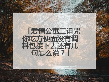 爱情公寓三诅咒你吃方便面没有调料包接下去还有几句怎么说?