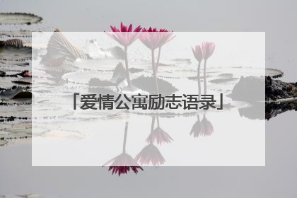 爱情公寓励志语录