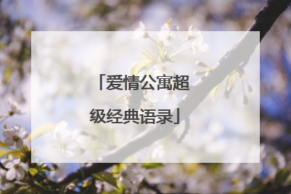 爱情公寓超级经典语录