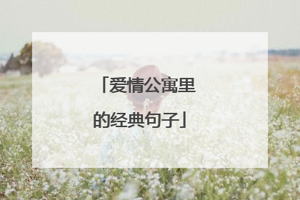 爱情公寓里的经典句子