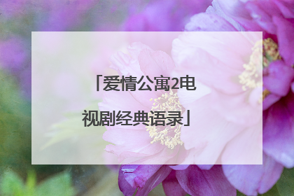 爱情公寓2电视剧经典语录