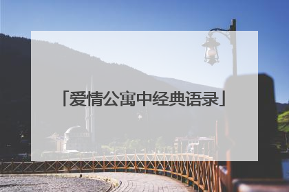 爱情公寓中经典语录