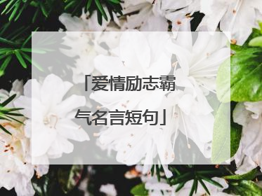 爱情励志霸气名言短句