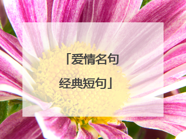 爱情名句经典短句