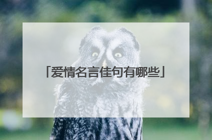 爱情名言佳句有哪些