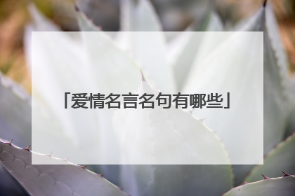 爱情名言名句有哪些