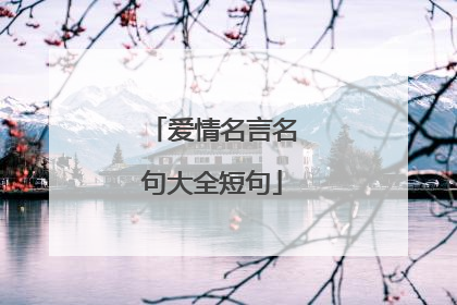 爱情名言名句大全短句