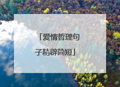 爱情哲理句子精辟简短