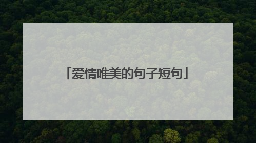 爱情唯美的句子短句