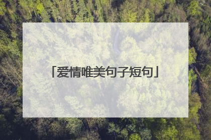 爱情唯美句子短句